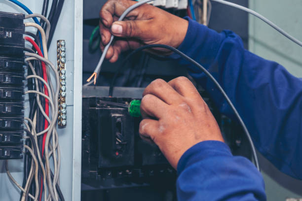 Best Electric Panel Repair  in Port Angeles East, WA